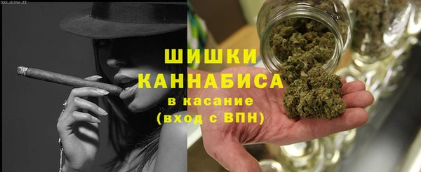 крисы Горняк