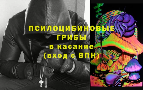 крисы Горняк