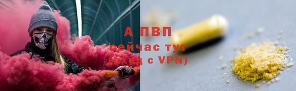 крисы Горняк