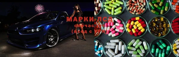 крисы Горняк